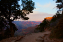 Trail down to the Canyon