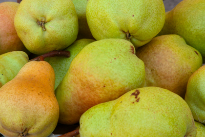 Item #202309120665: Flora - Bartlett Pears