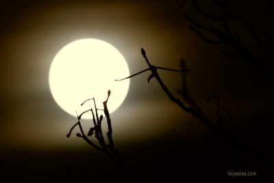 Item #200811121136: Moon - Super Moon