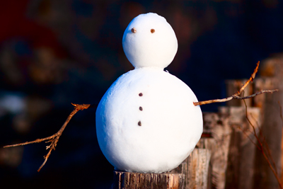 Item #200612256637: Still Lifes - Snowman